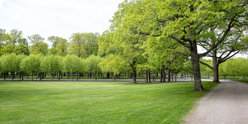 Parken en tuinen van Lille